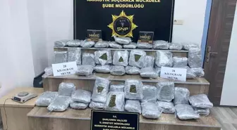Şanlıurfa'da Uyuşturucu Operasyonu: 28 Kilo Skunk Ele Geçirildi