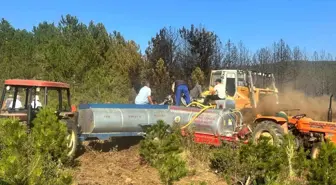 Uşak'ta Orman Yangını Kontrol Altına Alındı