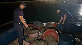 Zonguldak'ta Yasa Dışı Kalkan Avcılığına Operasyon