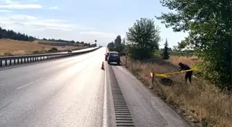 Amasya'da Lastiği Patlayan Sürücüye Çarpan Tır Sürücüsü Trabzon'da Yakalandı