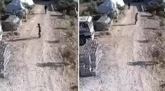 Amca ile yeğenin hayatını kaybettiği silahlı kavga kamerada