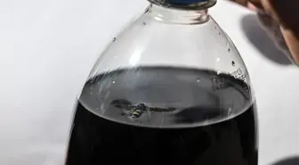 Marketten aldıkları kolanın içinden ölü arı çıktı