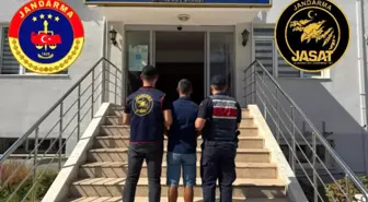 Antalya'da Jandarma Operasyonu: 236 Suçlu Yakalandı