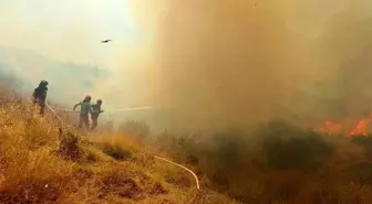Arnavutluk'ta Orman Yangınları: 1 Ölü, 8 Yaralı