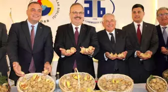 Aydın'da Kuru İncir Sezonu Başladı: İlk Ürün 800 TL'den Satıldı