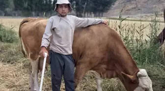 12 Yaşındaki Alperen'in Hayvanlara Verdiği Renkli İsimler