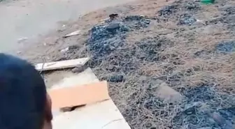 Balıkesir'de Barakada Yangın: Felçli Adam Hayatını Kaybetti