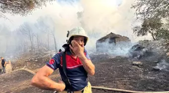 Bergama'da Orman Yangını: 3 Ev Zarar Gördü