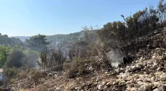 İzmir'de Orman Yangını Kontrol Altına Alındı
