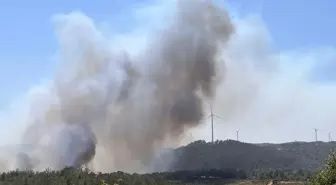 Çanakkale'de yine orman yangını! Kaz Dağları tehdit altında