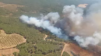 Çanakkale'de Orman Yangınına Havadan ve Karadan Müdahale