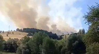 Çankırı'da Orman Yangını Çıktı