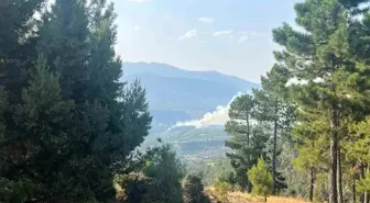 Denizli'de Orman Yangınına Müdahale Başlatıldı