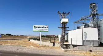 Çiftçi, Mısır Satışında Dolandırıldığını İddia Ediyor