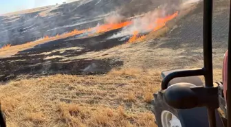 Eskişehir'de Yangın Söndürüldü, 150 Dönüm Zarar Gördü