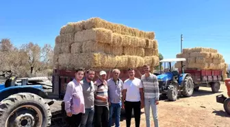 Çanakkale'de Orman Yangını Sonrası Gençlerden Örnek Dayanışma