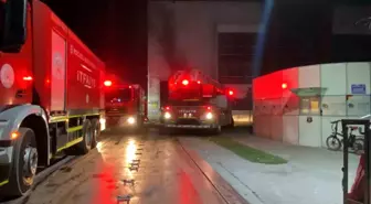 Kocaeli'de Geri Dönüşüm Fabrikasında Yangın Çıktı