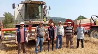 Gölpazarı'nda Hububat Hasadı Devam Ediyor