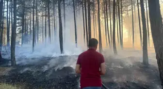 Kastamonu'da Orman Yangını Kısa Sürede Söndürüldü