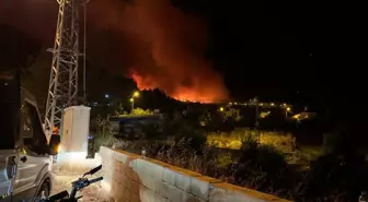 Hassa'da Orman Yangını Nedeniyle Mahalle Tahliye Edildi