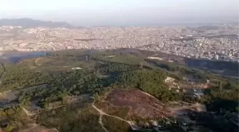İzmir'de yangın kontrol altına alındı