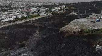İzmir'de minibüste çıkıp ormana sıçrayan yangın kontrol altına alındı