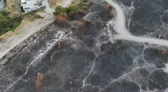 İzmir'deki Minibüs Yangınına Havadan Müdahale Yeniden Başladı