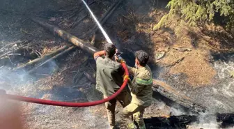 Kahramanmaraş Göksun'daki Orman Yangını Kontrol Altına Alındı