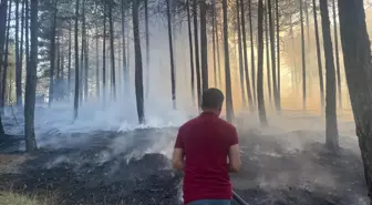 Kastamonu'da Orman Yangını Kontrol Altına Alındı