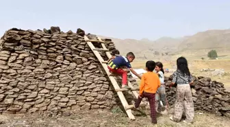Şırnak'ta Göçerler Kış Hazırlıklarına Başladı
