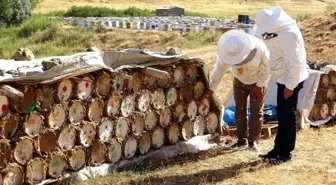 Van Arıcılar Birliği: Küresel Isınma Bal Verimini Tehdit Ediyor