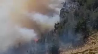 Silifke'de Üç Ayrı Noktada Orman Yangını
