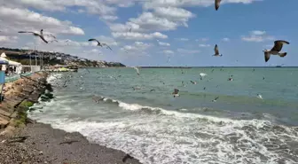Marmara Denizi'nde Poyraz Deniz Trafiğini Aksattı
