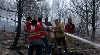 Türk Kızılay, Orman Yangınlarına 127 Müdahalede Bulundu
