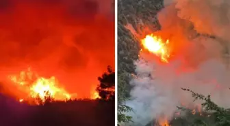 Türkiye'nin ciğerleri yanıyor! Hatay ve Mersin'de orman yangınları çıktı
