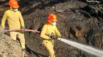 Uşak'ta Orman Yangını Kontrol Altına Alındı
