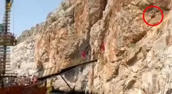 Alanya'da Mahsur Kalan Keçi, Tur Teknesi Çalışanları Tarafından Kurtarıldı