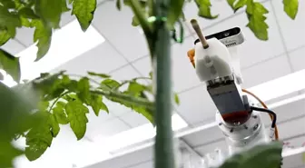 Çinli Bilim İnsanları Dünyanın İlk Tam Süreçli Tarım Robotunu Geliştirdi