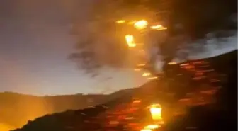 Adıyaman'da Anız Yangını Meyve Bahçelerine Sıçradı