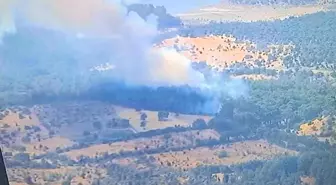Çanakkale Ayvacık'ta Orman Yangınına Hızlı Müdahale
