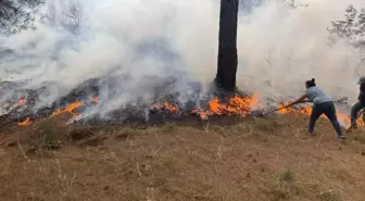 Çanakkale Ayvacık'ta Orman Yangınına Hızlı Müdahale