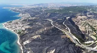 Çanakkale'de Tarım Arazisinden Ormanlık Alana Sıçrayan Yangın Kontrol Altında