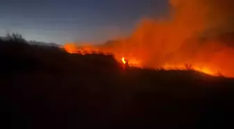 Diyarbakır'da Ormanlık Alanda Yangın Kontrol Altına Alındı