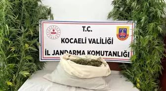 Kocaeli'de Uyuşturucu Operasyonu: 3 Kilo 960 Gram Uyuşturucu Ele Geçirildi