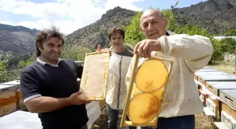 Gümüşhane 2025 Bal Hasadı Rekoltesiyle Üreticilerin Yüzü Güldü