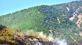 Hatay'da Orman Yangını: 1.115 Kişi Tahliye Edildi