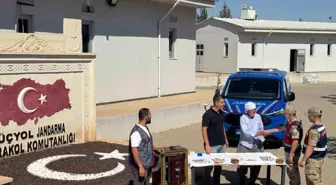 Mardin'de Çalınan 3 Milyon Lira Değerindeki Altınlar Bulundu