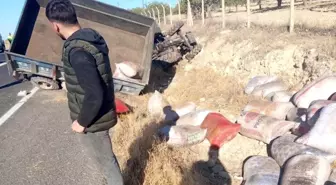 Şanlıurfa'da Traktör Kazaları: 1 Ölü, 5 Yaralı
