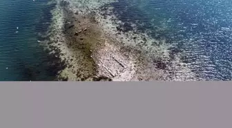 Sapanca Gölü'nde Tarihi Kilise Kalıntısı Ortaya Çıktı