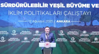 Sürdürülebilir Yeşil Büyüme ve İklim Politikaları Çalıştayı Ankara'da gerçekleştirildi